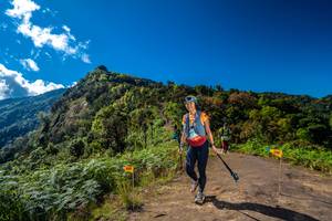 BIB: 2203, 
                            <button type="button" onclick="openModal(19036333)" class="btn btn-primary btn-sm float-right btn-popup" data-toggle="modal" data-target=".modal-high-quality">
                        <i class="fas fa-shopping-cart"></i> Add to Cart
                    </button>
                                            <button type="button" onclick="isThisMe(19036333, true)" class="btn btn-success btn-sm float-right btn-popup btn-isme hidden" data-toggle="tooltip" data-placement="bottom" title="นี่คือรูปของคุณใช่ไหม คลิกที่นี่เพื่อเอาเข้าอัลบั้ม">
                        <i class="fas fa-plus"></i> Add to album
                    </button>
                    <button type="button" onclick="isThisMe(19036333, false)" class="btn btn-warning btn-sm float-right btn-popup btn-isnotme hidden">
                        <i class="fas fa-ban"></i> Remove from album
                    </button>